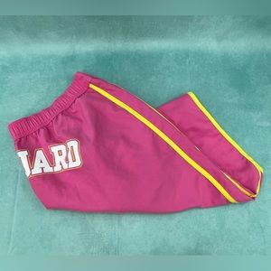 Vintage VS Pink Boardshorts L